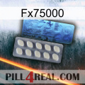 Fx75000 34